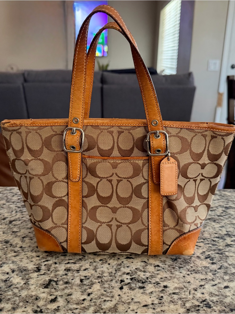 Coach Hamptons Mini Signature Tote Bag 6043 | Vintage Y2K